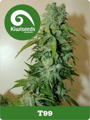 Семена Kiwi Seeds T99 (Обычные)
