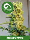 Kiwi Seeds Milky Way (Обычные)