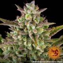 Wedding Cake (Автоцветущие феминизированные)