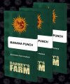 Banana Punch (Феминизированные)